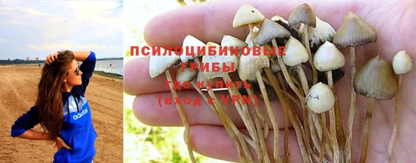 не бодяженный Армянск
